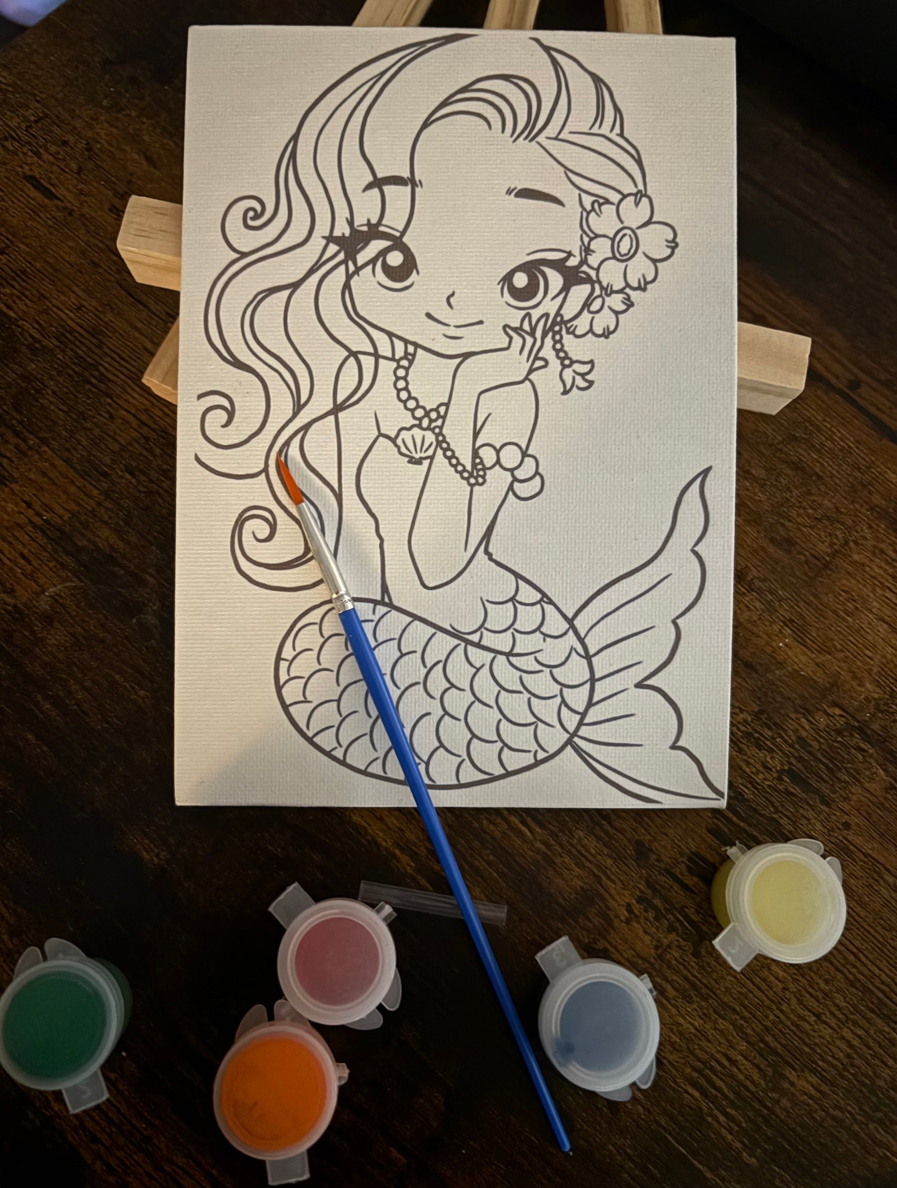 Canvas Paint Kits